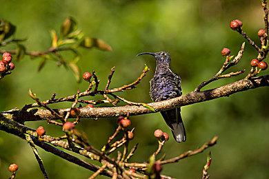 《奥德赛光之越》无限期暂停开发 开发商裁员超过50%